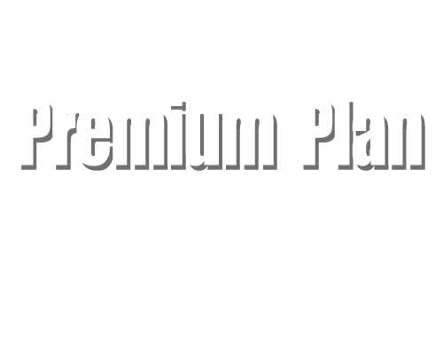 Premium_Plan　選び抜いたメッキアイテムで、ひときわ力強く。